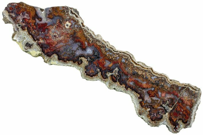 Colorful, Polished Agate Slab -Big Dig Site, New Mexico #228152